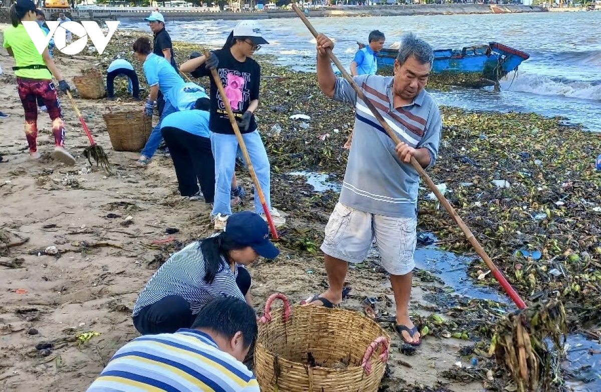 Hàng ngàn người dân Vũng Tàu ra quân làm sạch bãi biển trước ngày lập phường mới
