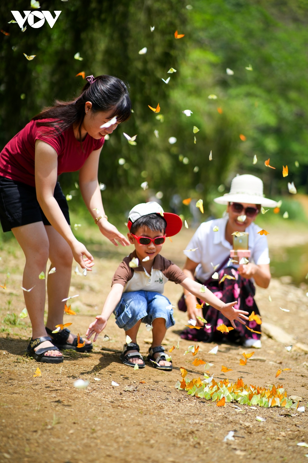 khám phá cúc phương mùa bướm thơ mộng hình ảnh 7 kham pha cuc phuong mua buom tho mong hinh anh 7
