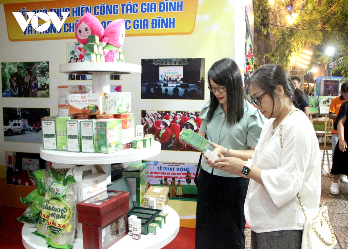 Khai mạc "Ngày hội Gia đình Việt Nam năm 2025"