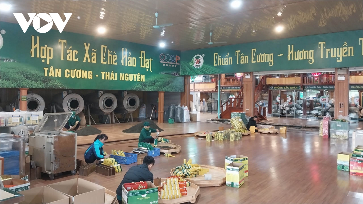 thai nguyen day manh thuong mai dien tu phat trien nong nghiep hinh anh 2