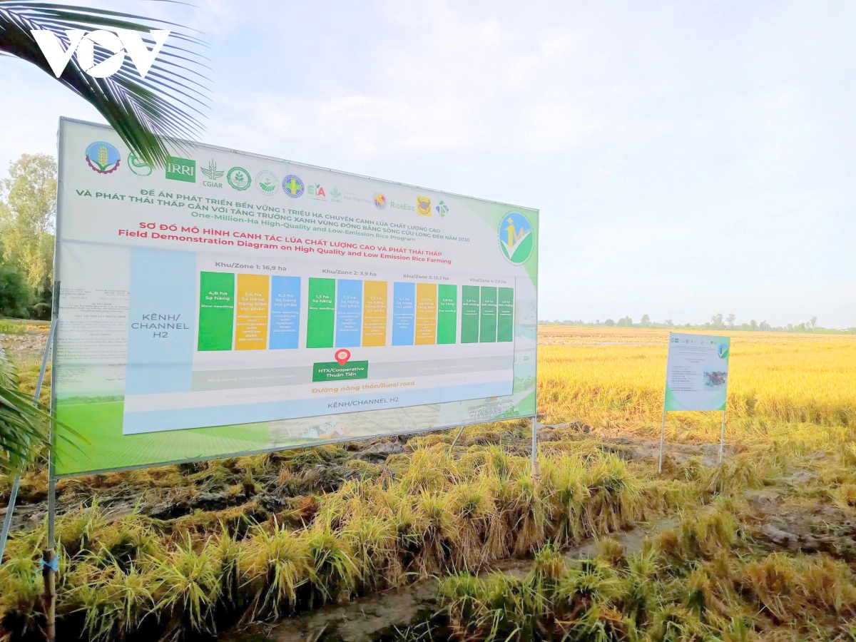 nhãn hiệu gạo việt xanh phát thải thấp chính thức xuất khẩu hình ảnh 6 nhan hieu gao viet xanh phat thai thap chinh thuc xuat khau hinh anh 6