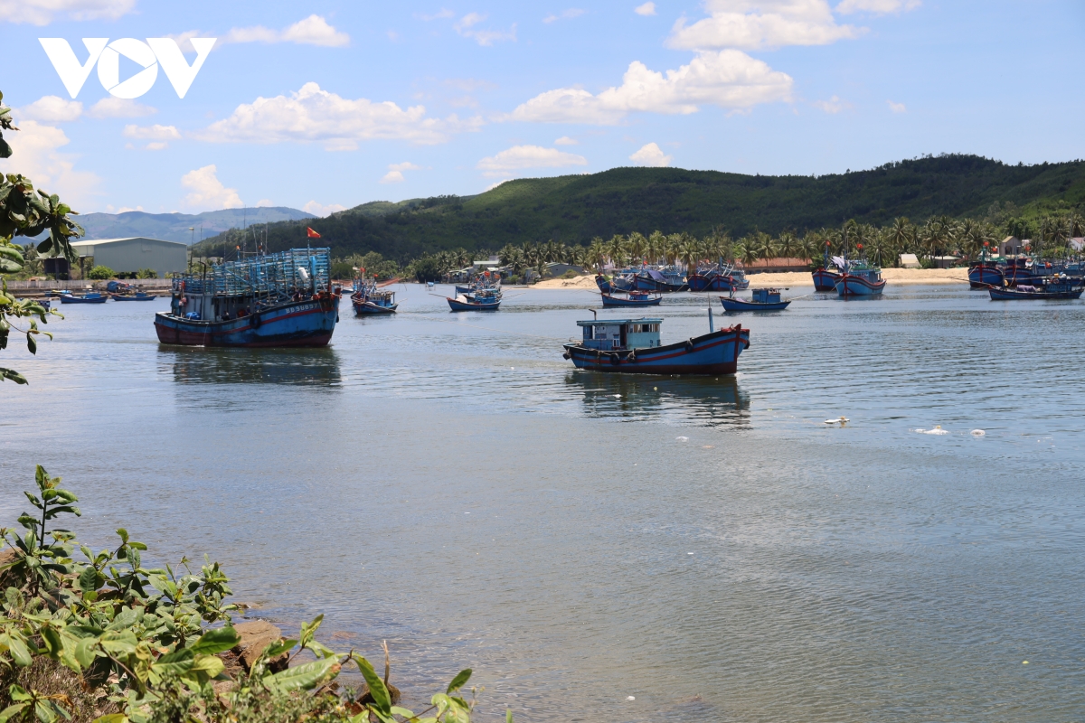 cửa biển tam quan bồi lắng, nhiều tàu cá mắc cạn ra vào khó khăn hình ảnh 3 cua bien tam quan boi lang, nhieu tau ca mac can ra vao kho khan hinh anh 3
