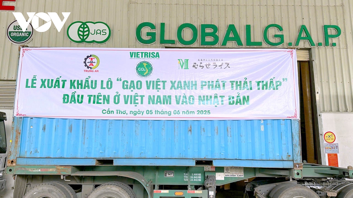 xuất khẩu lô gạo phát thải thấp đầu tiên sang thị trường nhật bản hình ảnh 1 xuat khau lo gao phat thai thap dau tien sang thi truong nhat ban hinh anh 1