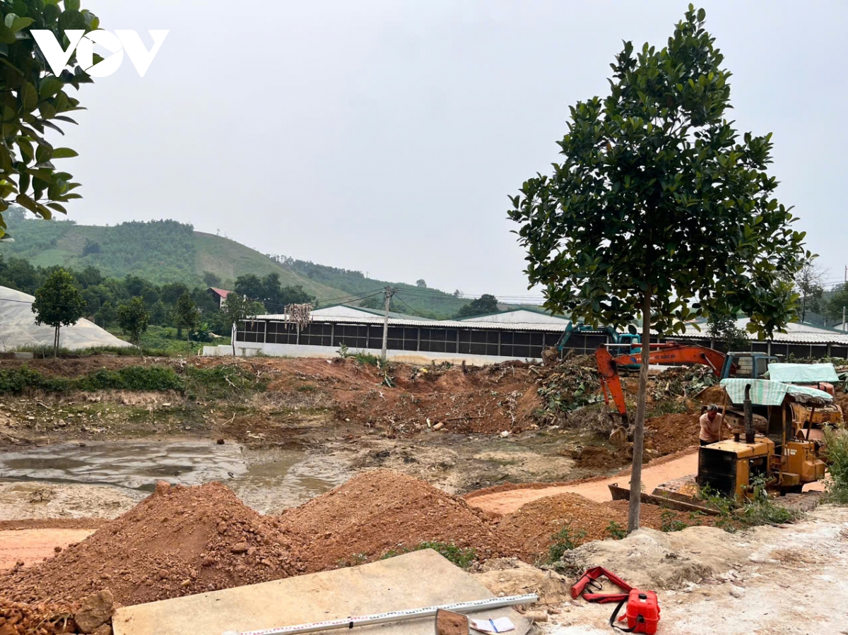 dân tố trại lợn bức tử người sống, xâm lấn nghĩa trang hình ảnh 2 dan to trai lon buc tu nguoi song, xam lan nghia trang hinh anh 2