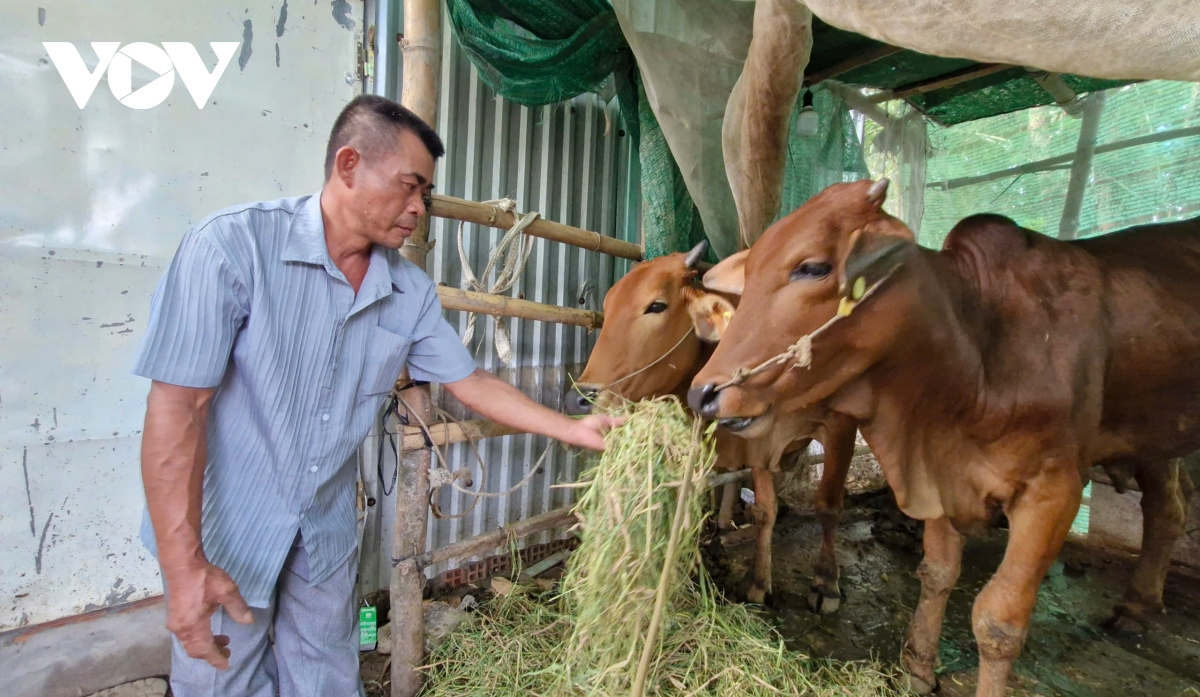 sóc trăng chăm lo đời sống đồng bào dân tộc khmer hình ảnh 1 soc trang cham lo doi song dong bao dan toc khmer hinh anh 1