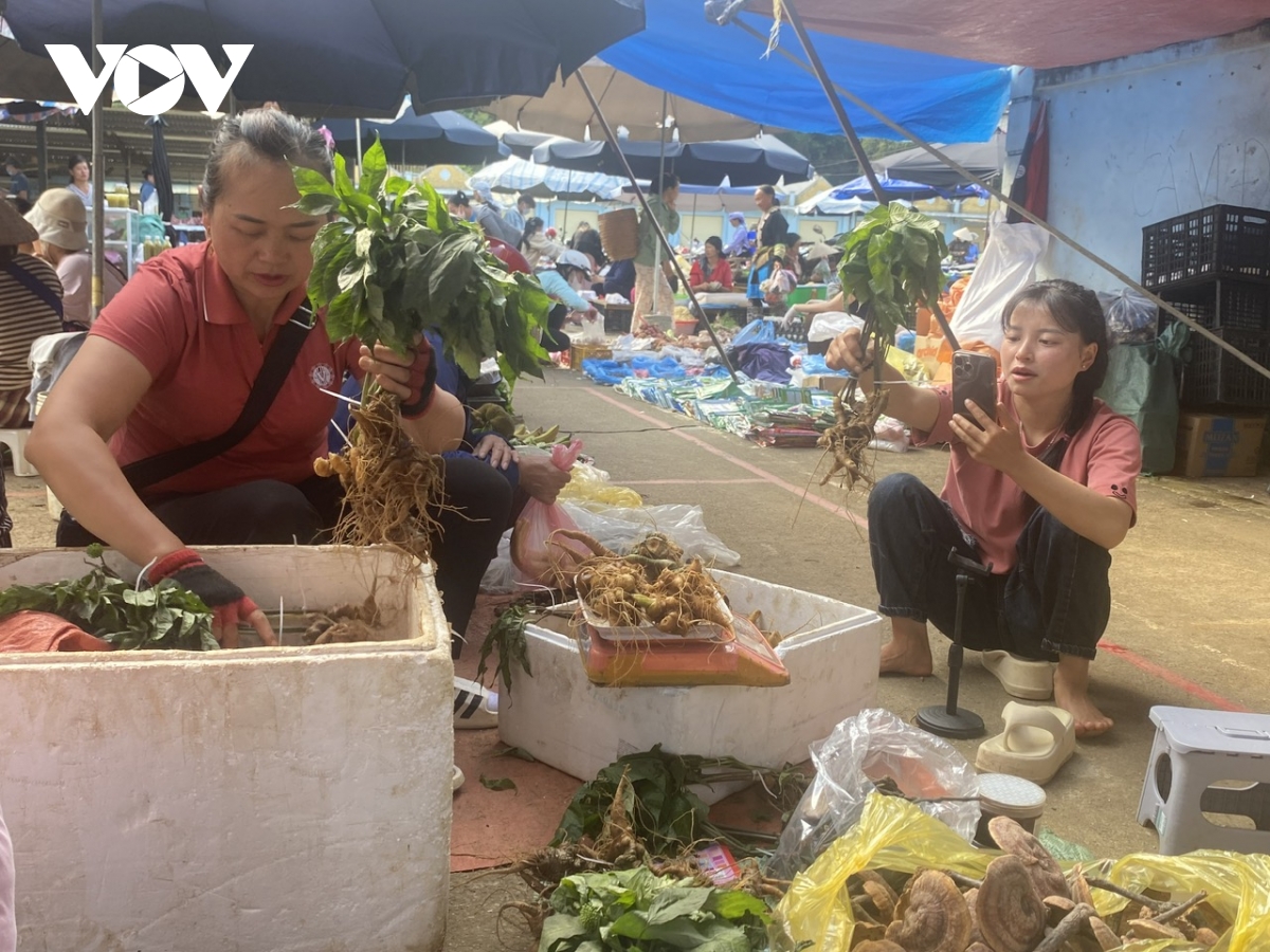 livestream tại chợ phiên vùng cao lai châu nhạy bén giữa thời kinh tế số hình ảnh 2 livestream tai cho phien vung cao lai chau nhay ben giua thoi kinh te so hinh anh 2
