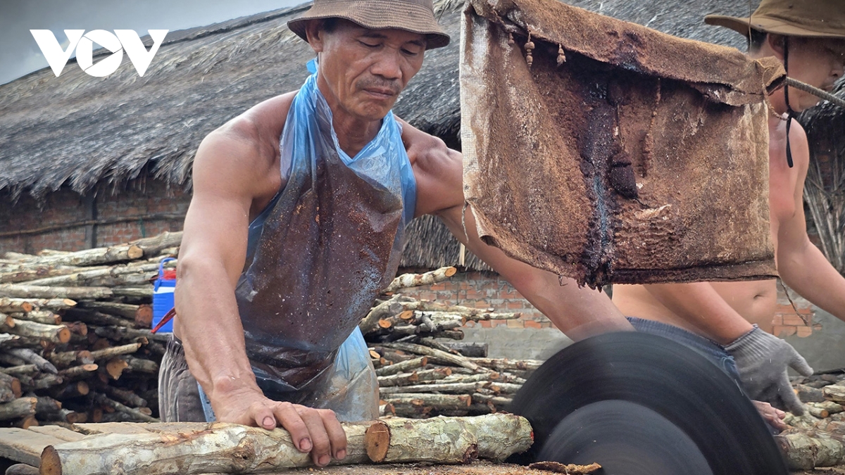 nghề hầm than ven sông cửa lớn hình ảnh 10 nghe ham than ven song cua lon hinh anh 10