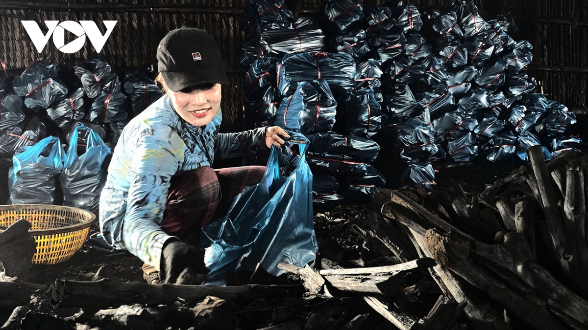 nghề hầm than ven sông cửa lớn hình ảnh 1 nghe ham than ven song cua lon hinh anh 1