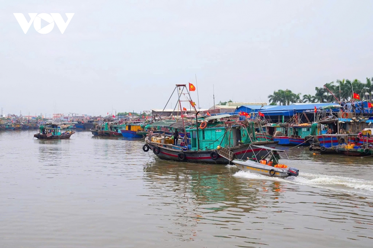 hai phong cam bien, khan truong keu goi, sap xep phuong tien vao noi tranh tru hinh anh 1