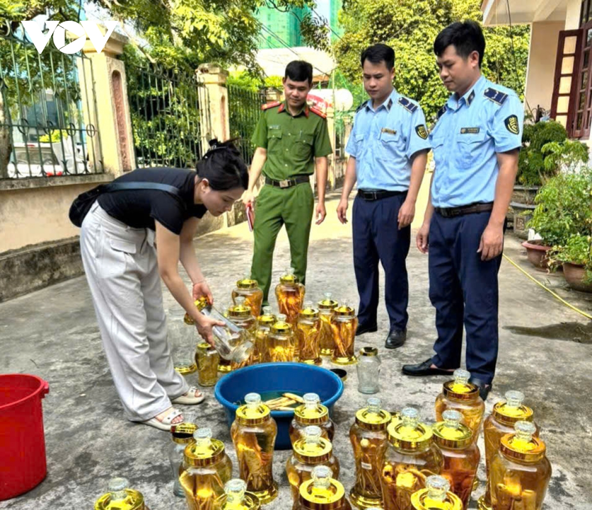 tiêu hủy gần 150 lít rượu sâm không rõ nguồn gốc xuất xứ hình ảnh 3 tieu huy gan 150 lit ruou sam khong ro nguon goc xuat xu hinh anh 3