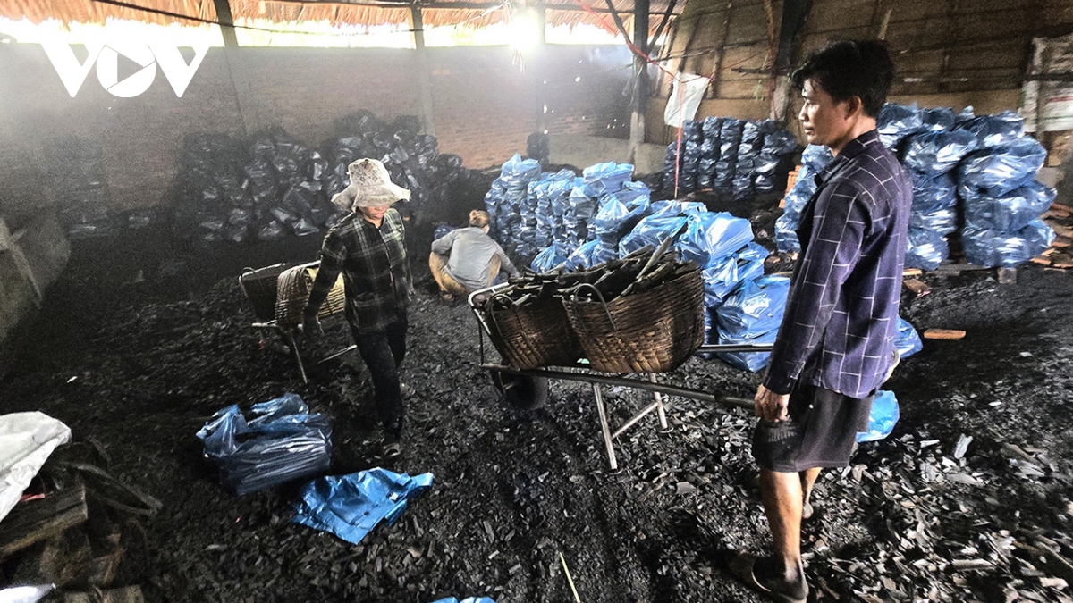 nghề hầm than ven sông cửa lớn hình ảnh 2 nghe ham than ven song cua lon hinh anh 2
