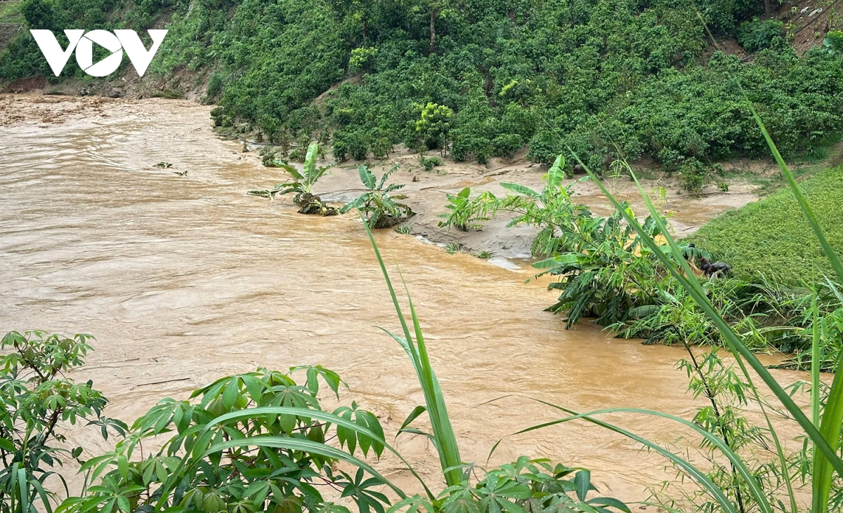 cập nhật bão số 3 Đảo bạch long vĩ tp hải phòng đang có gió giật cấp 9, mưa to, sóng lớn hình ảnh 18 cap nhat bao so 3 Dao bach long vi tp hai phong dang co gio giat cap 9, mua to, song lon hinh anh 18