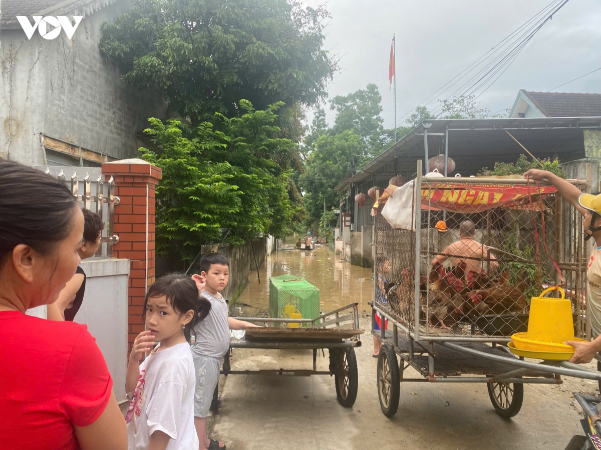 nguoi dan vung ha du nghe an trang dem chay lu hinh anh 7