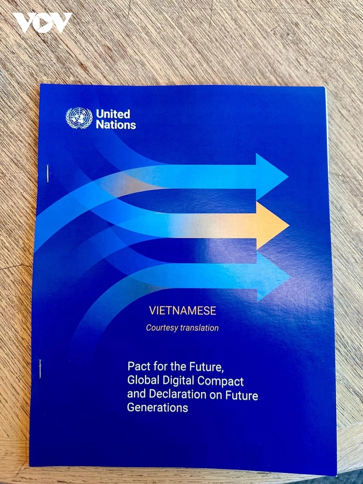 vietnamese courtesy translation of pact for the future presented at un picture 3