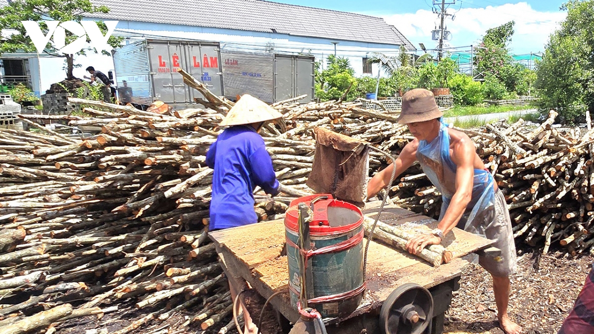 nghề hầm than ven sông cửa lớn hình ảnh 5 nghe ham than ven song cua lon hinh anh 5