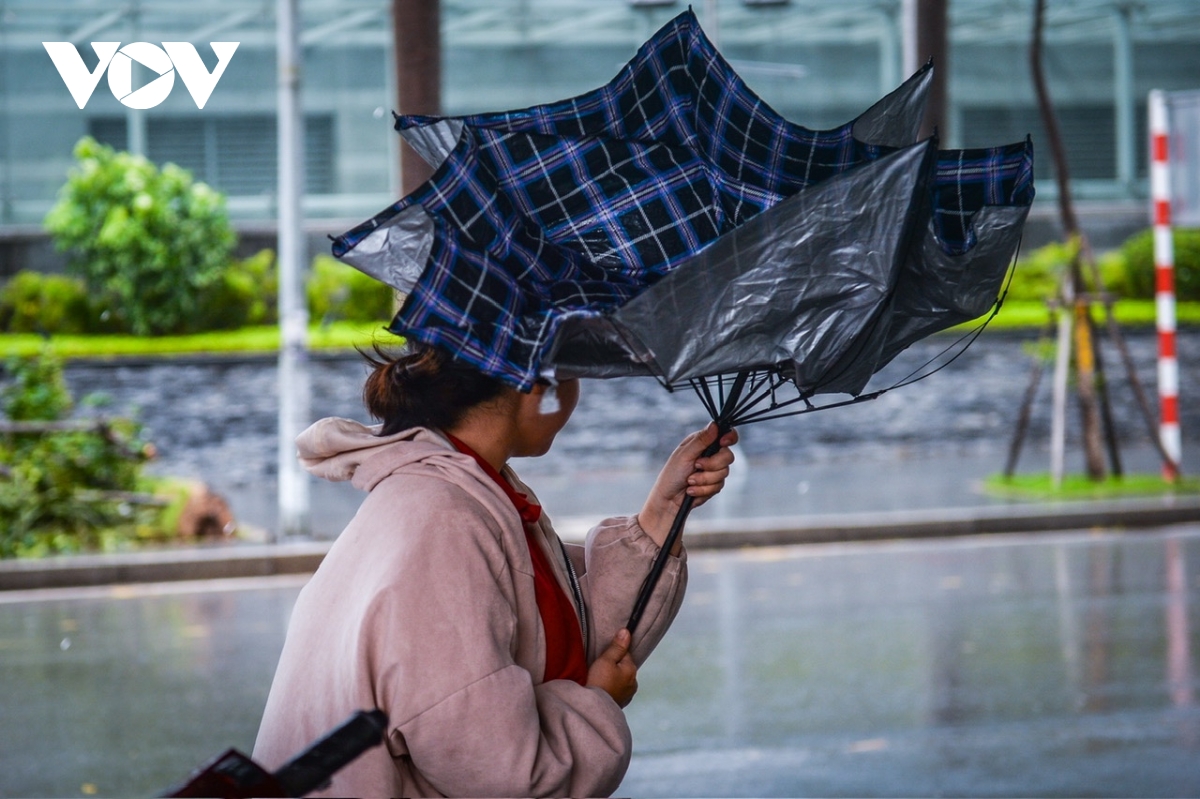 Buổi chiều Hà Nội trong ngày bão số 3 đổ bộ