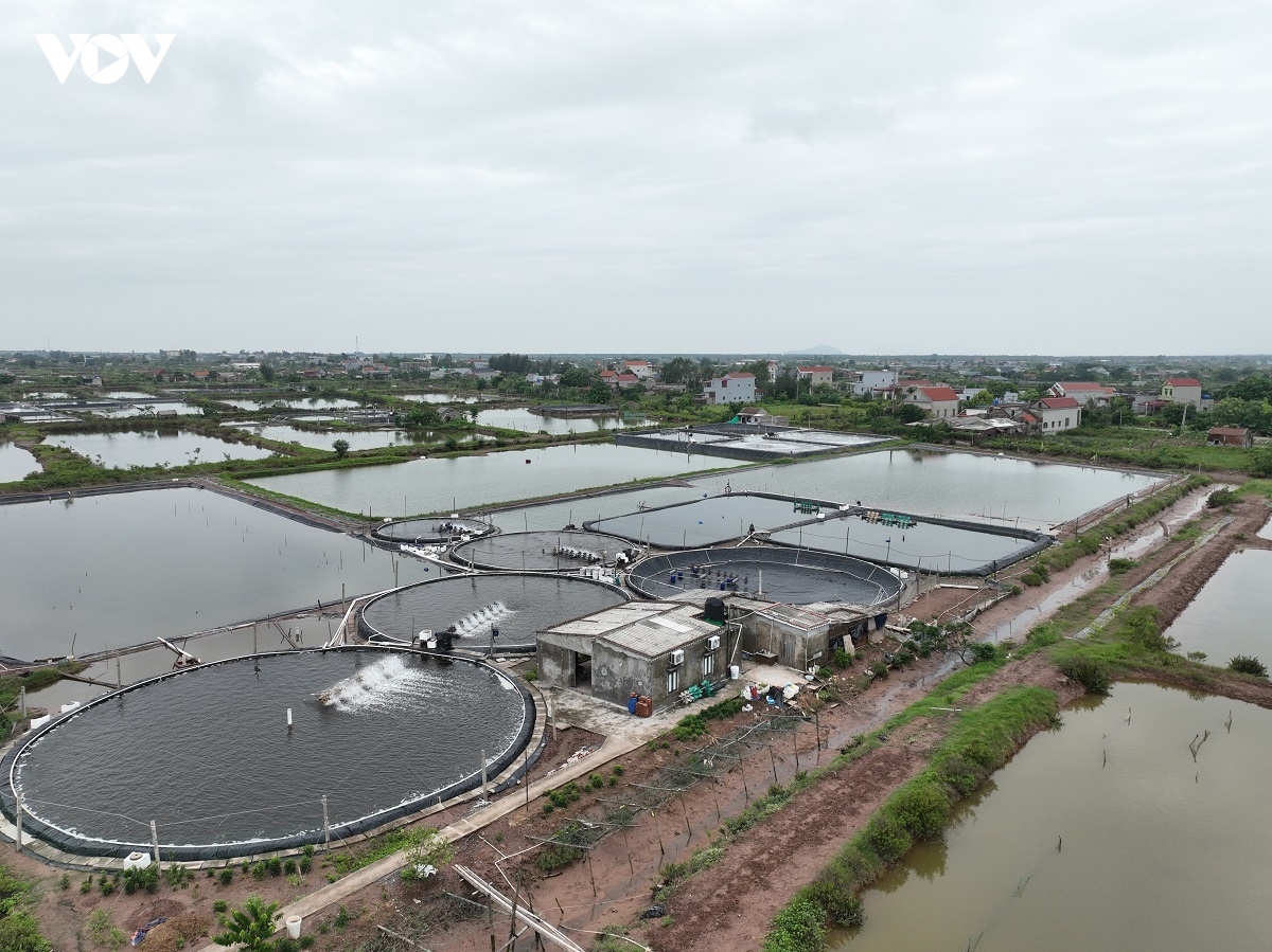 trang tay sau bao so 3, nguoi nuoi thuy san o ninh binh chua biet lam lai tu dau hinh anh 4