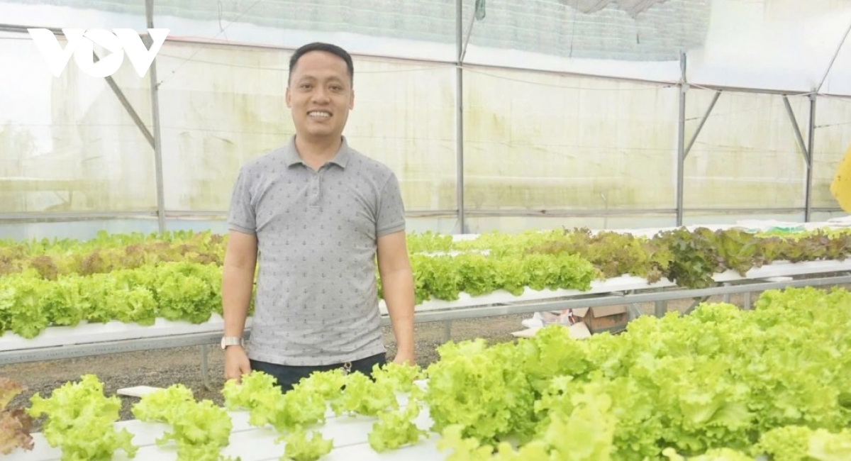 Đà Nẵng ứng dụng công nghệ cao vào sản xuất nông nghiệp