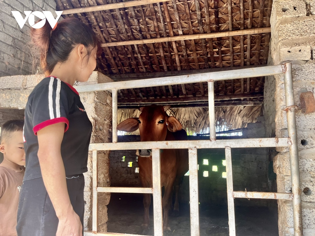Đa dạng hóa sinh kế và phát triển mô hình để giảm nghèo bền vững tại thanh hóa hình ảnh 1 Da dang hoa sinh ke va phat trien mo hinh de giam ngheo ben vung tai thanh hoa hinh anh 1
