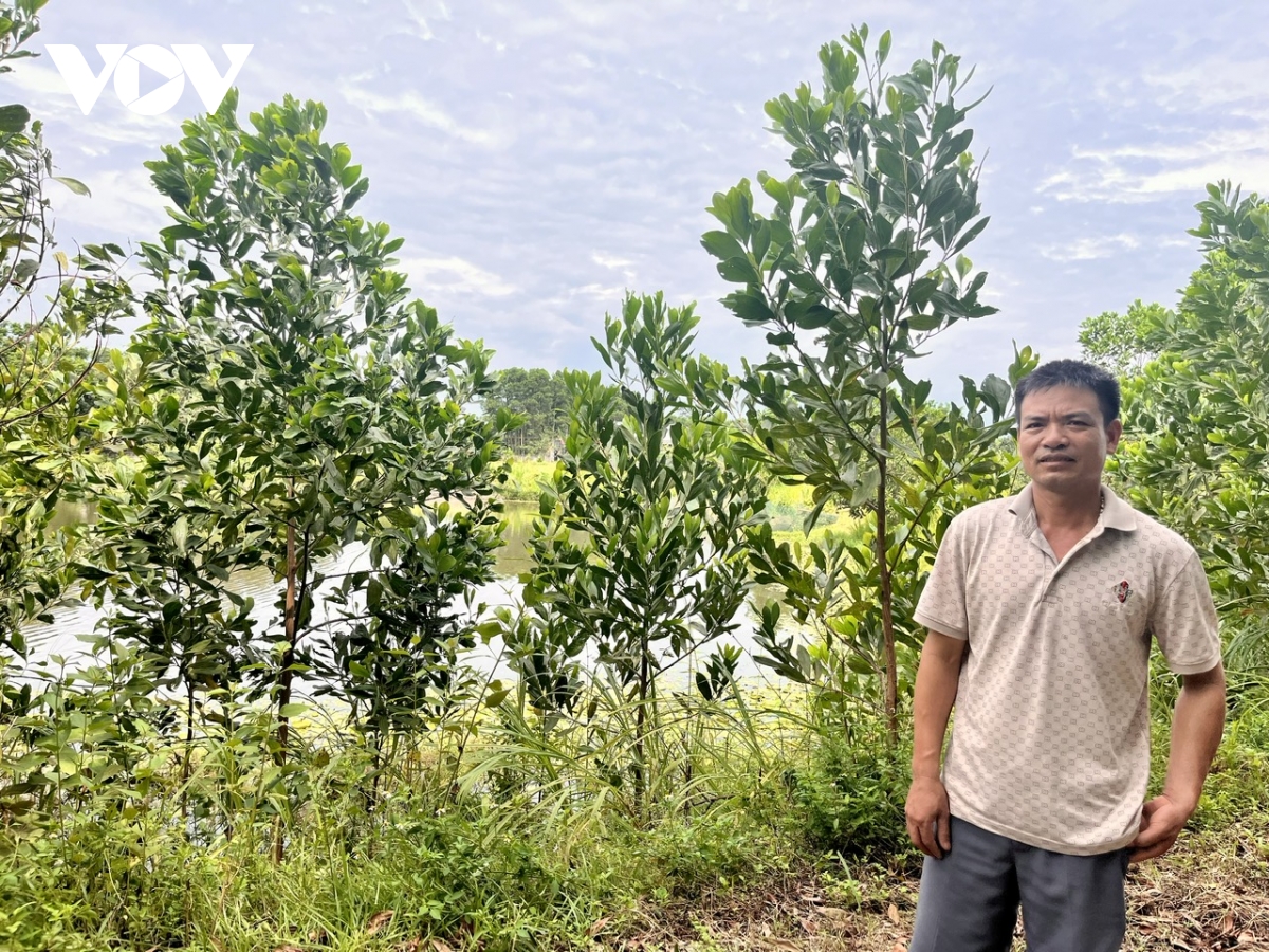 Đa dạng hóa sinh kế và phát triển mô hình để giảm nghèo bền vững tại thanh hóa hình ảnh 2 Da dang hoa sinh ke va phat trien mo hinh de giam ngheo ben vung tai thanh hoa hinh anh 2