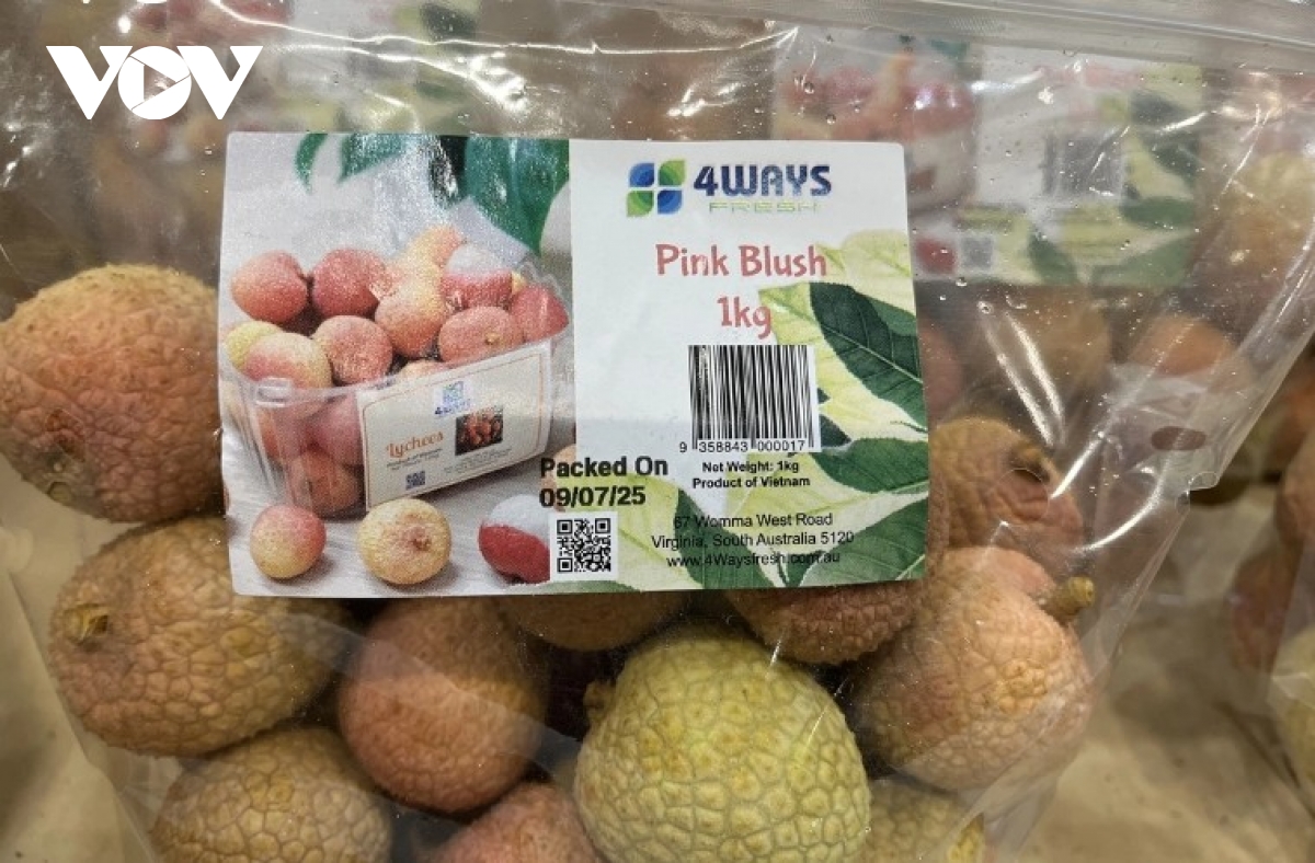 vietnamese lychees enter costco s australia-wide network in largest-ever shipment picture 2