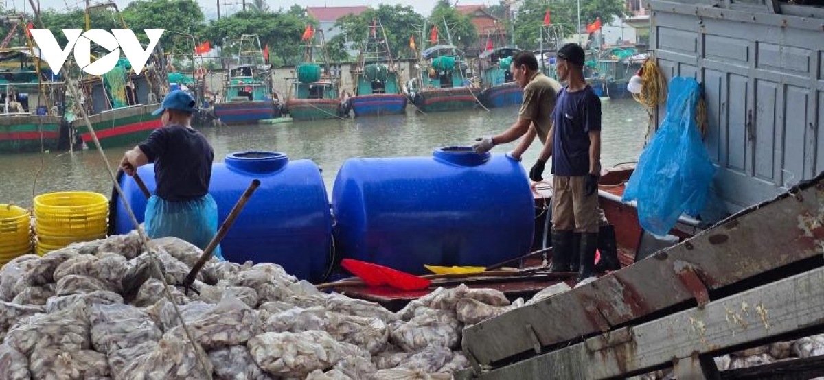hải phòng yêu cầu di dời người dân khỏi khu vực nguy hiểm trước 20h hôm nay hình ảnh 2 hai phong yeu cau di doi nguoi dan khoi khu vuc nguy hiem truoc 20h hom nay hinh anh 2