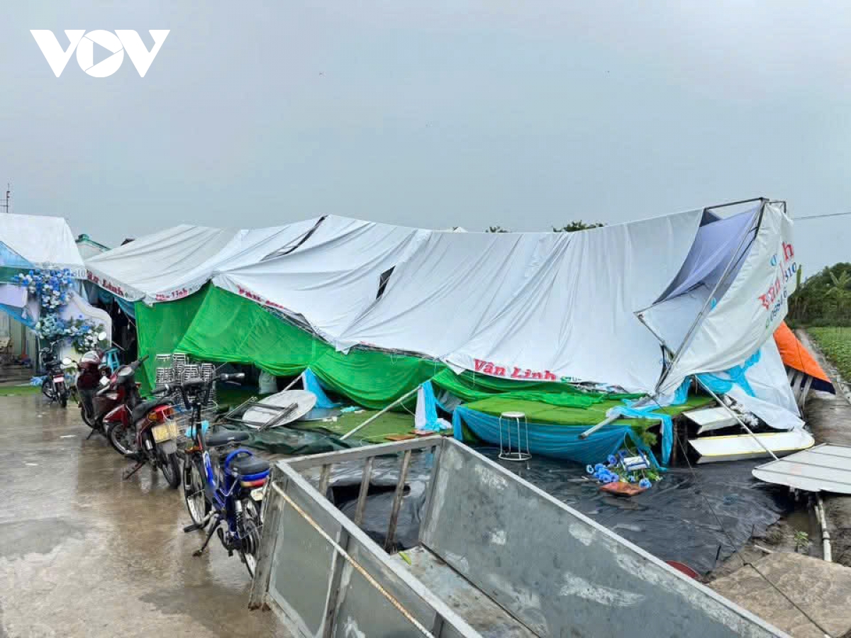 mua dong lam do nga nhieu cay xanh, tru dien, toc mai nhieu cong trinh, nha kho o Dong thap hinh anh 2