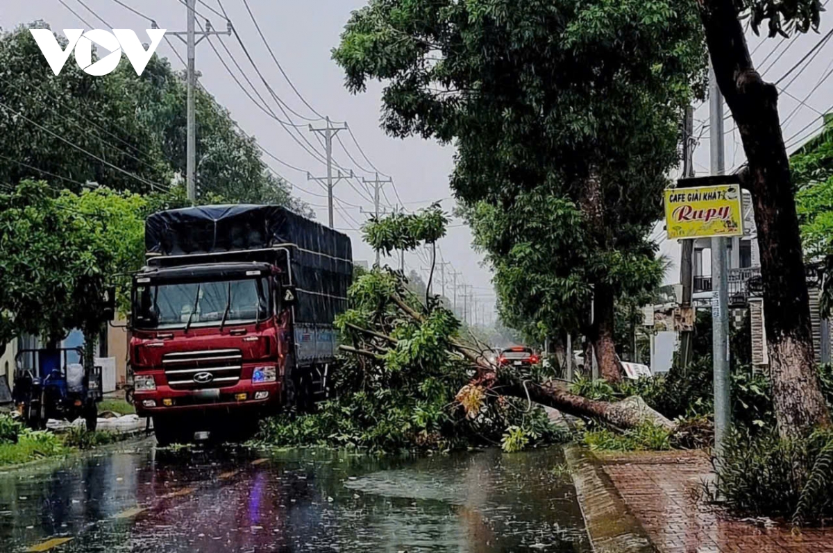 mua dong lam do nga nhieu cay xanh, tru dien, toc mai nhieu cong trinh, nha kho o Dong thap hinh anh 1