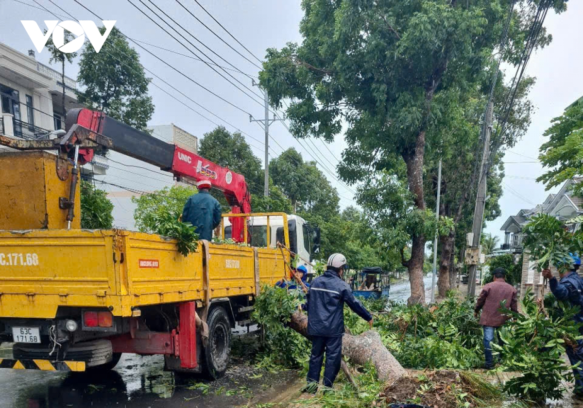 mua dong lam do nga nhieu cay xanh, tru dien, toc mai nhieu cong trinh, nha kho o Dong thap hinh anh 4