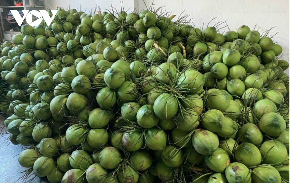 solutions proposed to expand export markets for major vietnamese fruits picture 2 solutions proposed to expand export markets for major vietnamese fruits picture 2