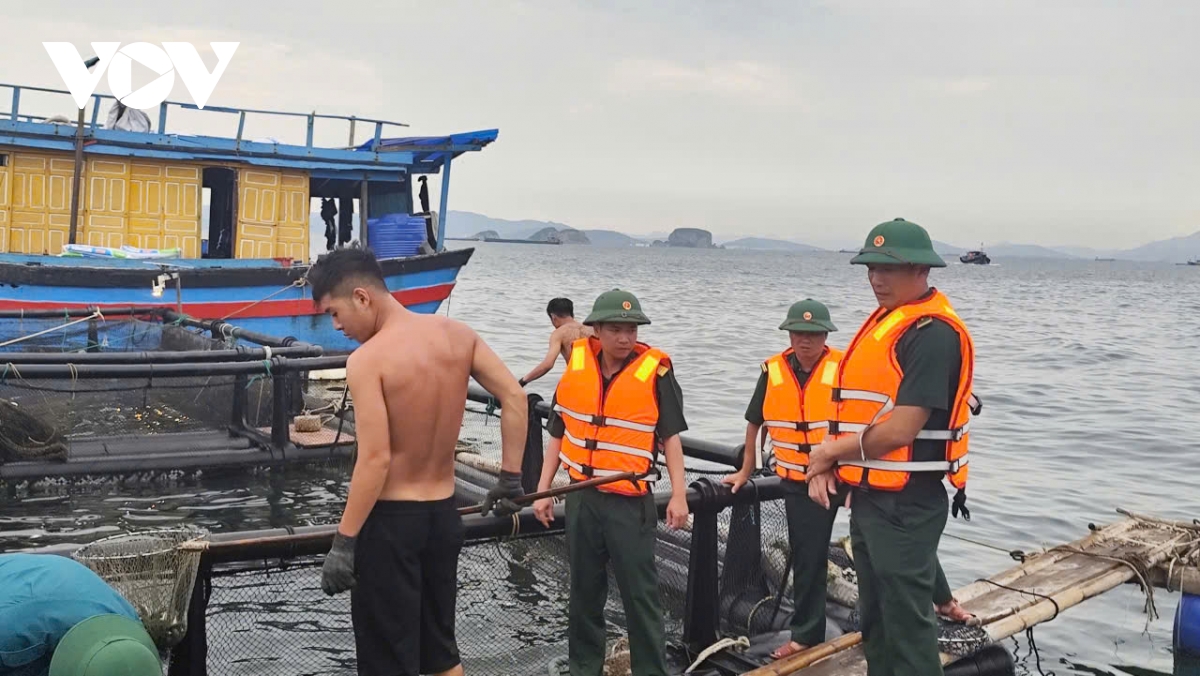 cập nhật bão số 3 Đảo bạch long vĩ tp hải phòng đang có gió giật cấp 9, mưa to, sóng lớn hình ảnh 44 cap nhat bao so 3 Dao bach long vi tp hai phong dang co gio giat cap 9, mua to, song lon hinh anh 44