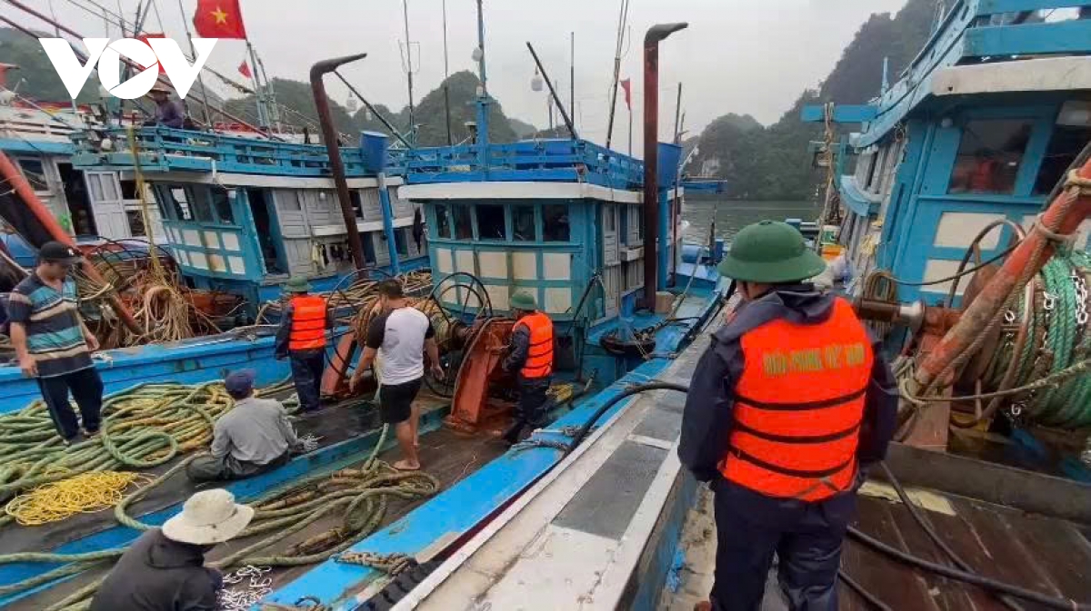 cập nhật bão số 3 Đảo bạch long vĩ tp hải phòng đang có gió giật cấp 9, mưa to, sóng lớn hình ảnh 7 cap nhat bao so 3 Dao bach long vi tp hai phong dang co gio giat cap 9, mua to, song lon hinh anh 7