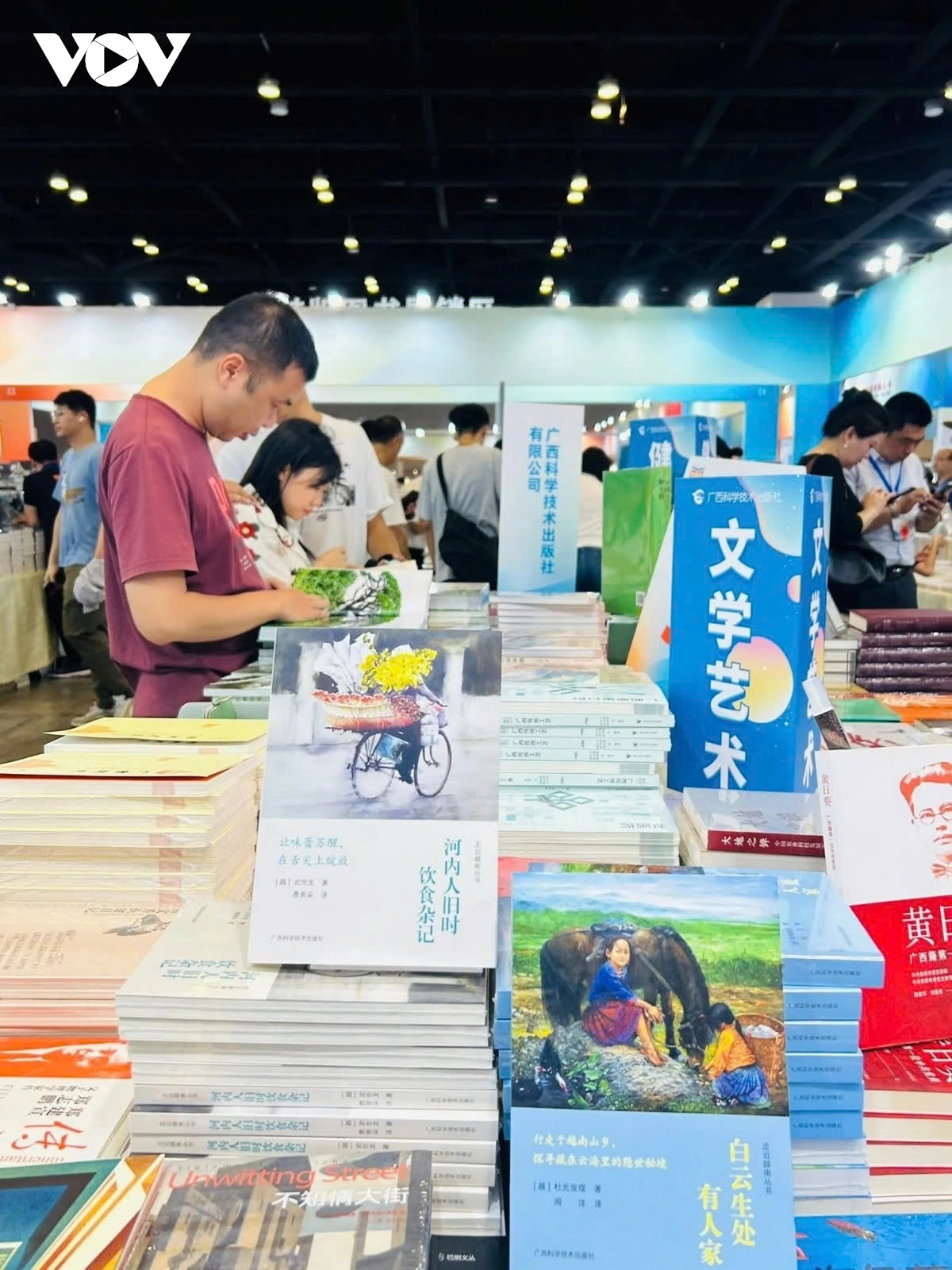 Book on a culinary tale of Hanoians wins SEA award in China