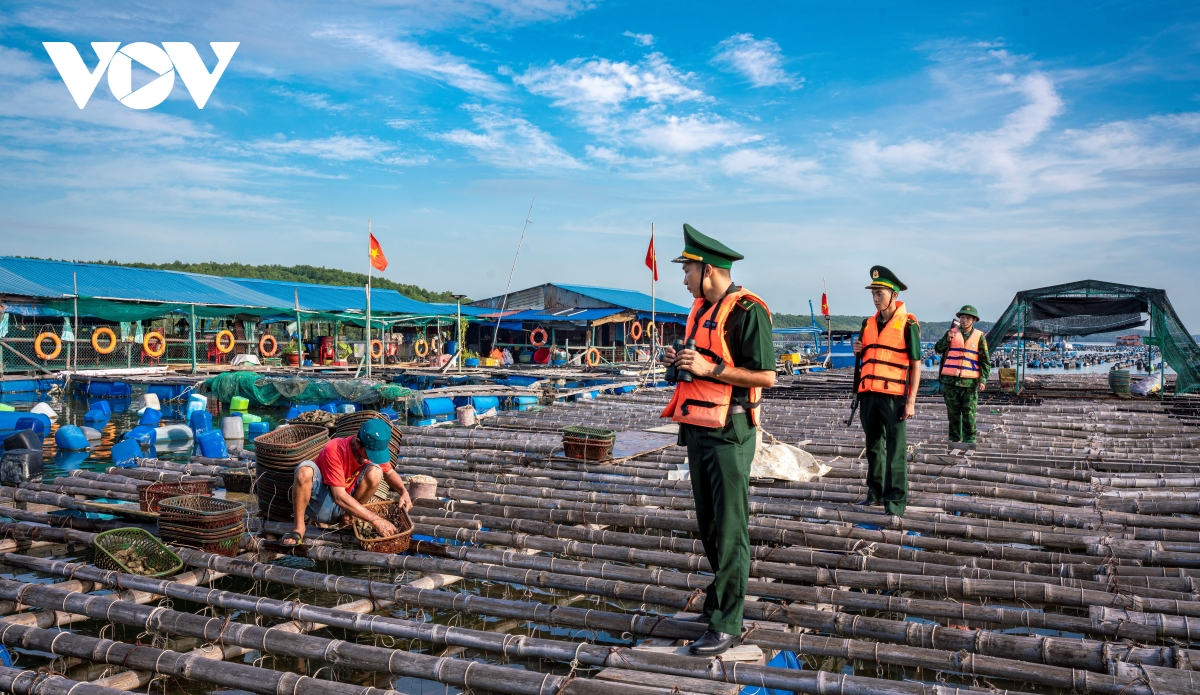 TP.HCM đưa gần 1.600 tàu thuyền vào bờ, Côn Đảo kích hoạt phương án ứng phó
