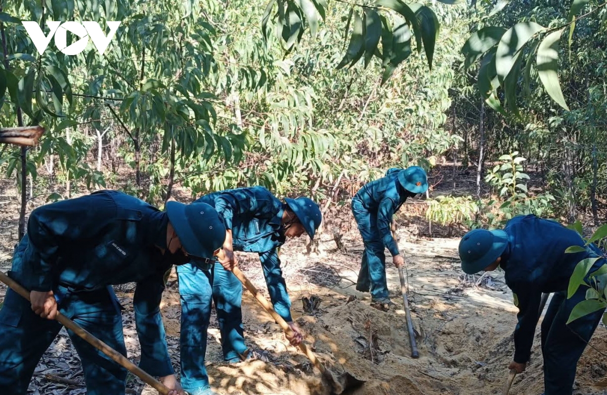 bùng phát dịch tả heo châu phi tại phường quảng phú, Đà nẵng hình ảnh 2 bung phat dich ta heo chau phi tai phuong quang phu, Da nang hinh anh 2