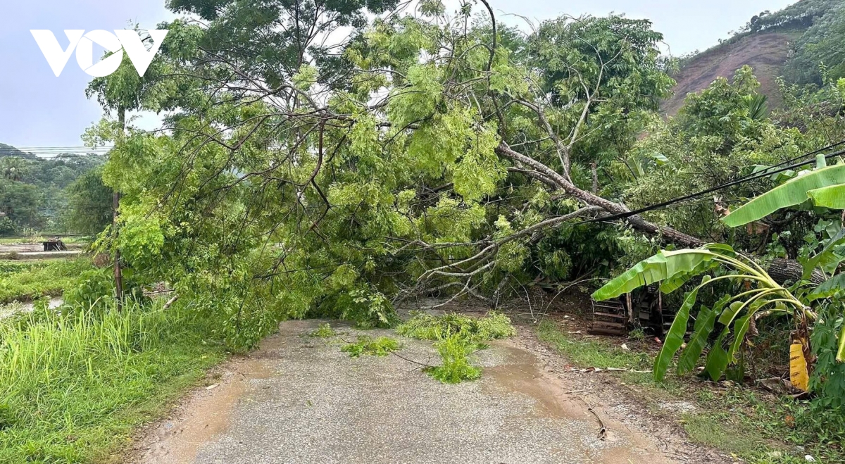 giông lốc chiều 19 7 gây sập nhà, hư hại nhiều tài sản tại lào cai hình ảnh 3 giong loc chieu 19 7 gay sap nha, hu hai nhieu tai san tai lao cai hinh anh 3