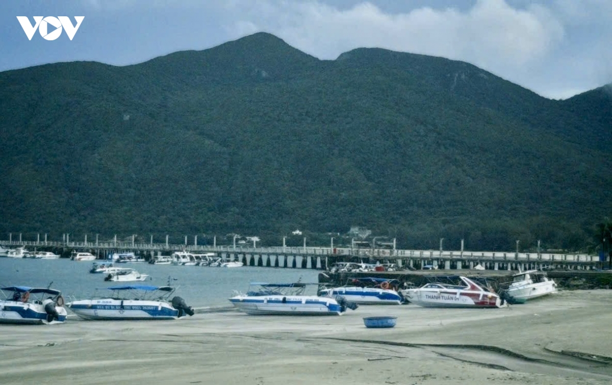 con Dao ra soat tau thuyen du lich, bao dam an toan cho du khach hinh anh 1