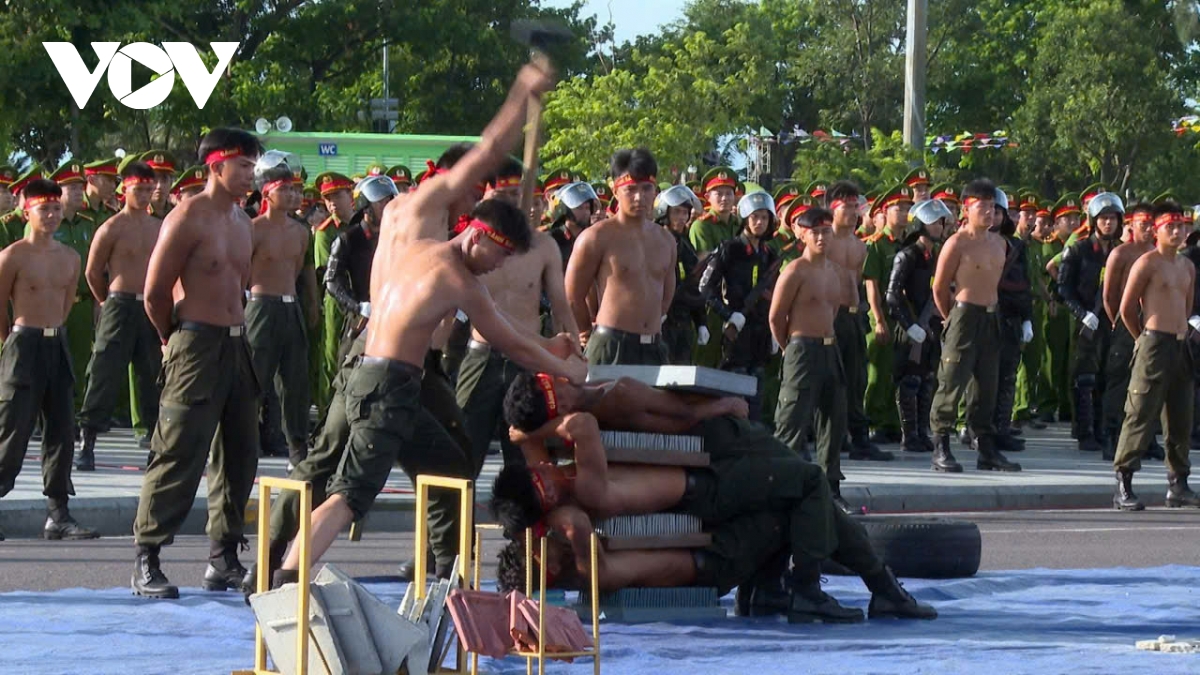 thanh lap luc luong dac biet 151, gia lai mo dot cao diem tran ap toi pham hinh anh 3