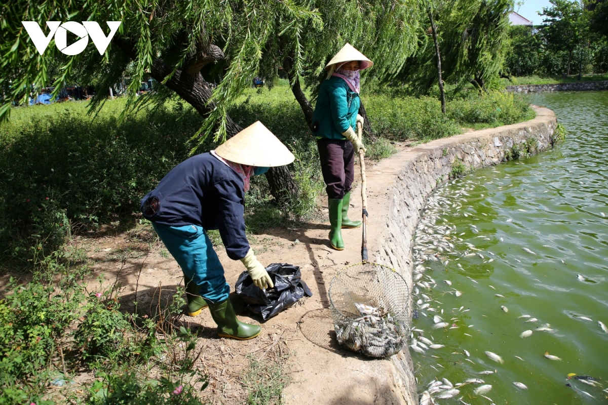 ca chet hang loat tai ho nam ly, phuong Dong hoi quang tri hinh anh 3
