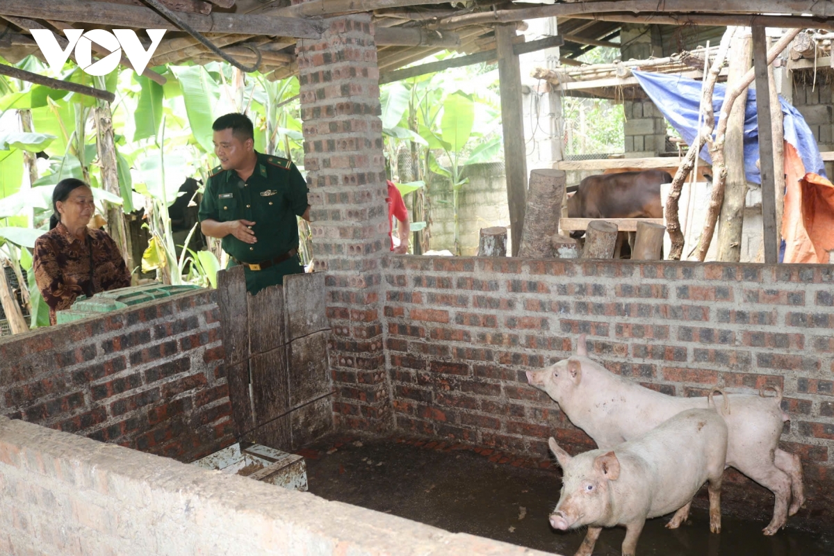 dau an nguoi dang vien bien phong noi bien cuong cao bang hinh anh 2