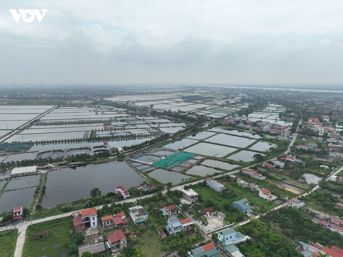 trang tay sau bao so 3, nguoi nuoi thuy san o ninh binh chua biet lam lai tu dau hinh anh 1