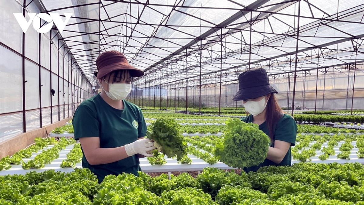 Thực hiện quy định EPR, doanh nghiệp giảm tiêu hao năng lượng đến 20% - 30%