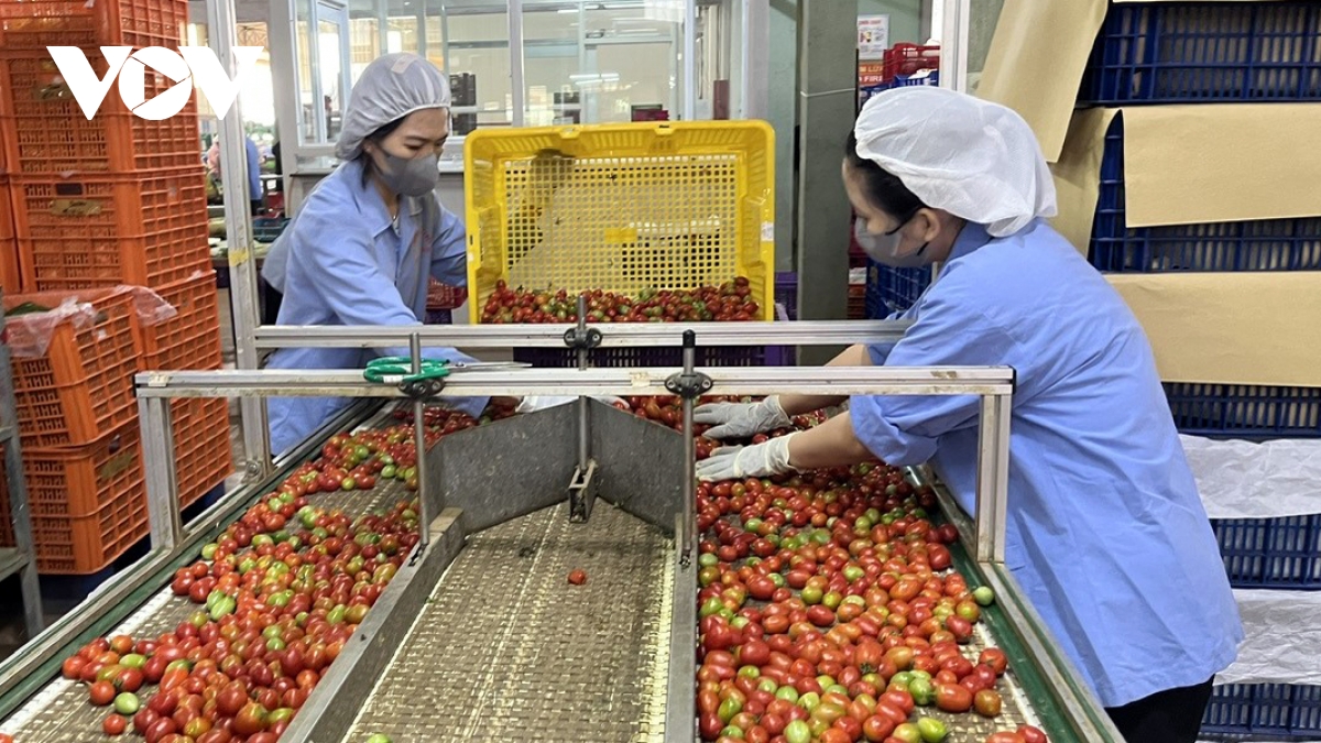 thực hiện quy định epr, doanh nghiệp giảm tiêu hao năng lượng đến 20 - 30 hình ảnh 3 thuc hien quy dinh epr, doanh nghiep giam tieu hao nang luong den 20 - 30 hinh anh 3