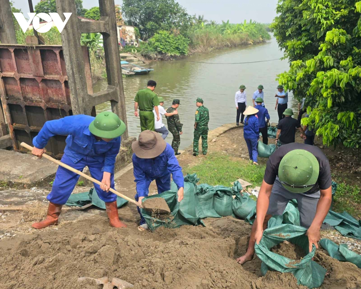 quảng ninh, hải phòng chủ động ứng phó bão số 3 hình ảnh 4 quang ninh, hai phong chu dong ung pho bao so 3 hinh anh 4