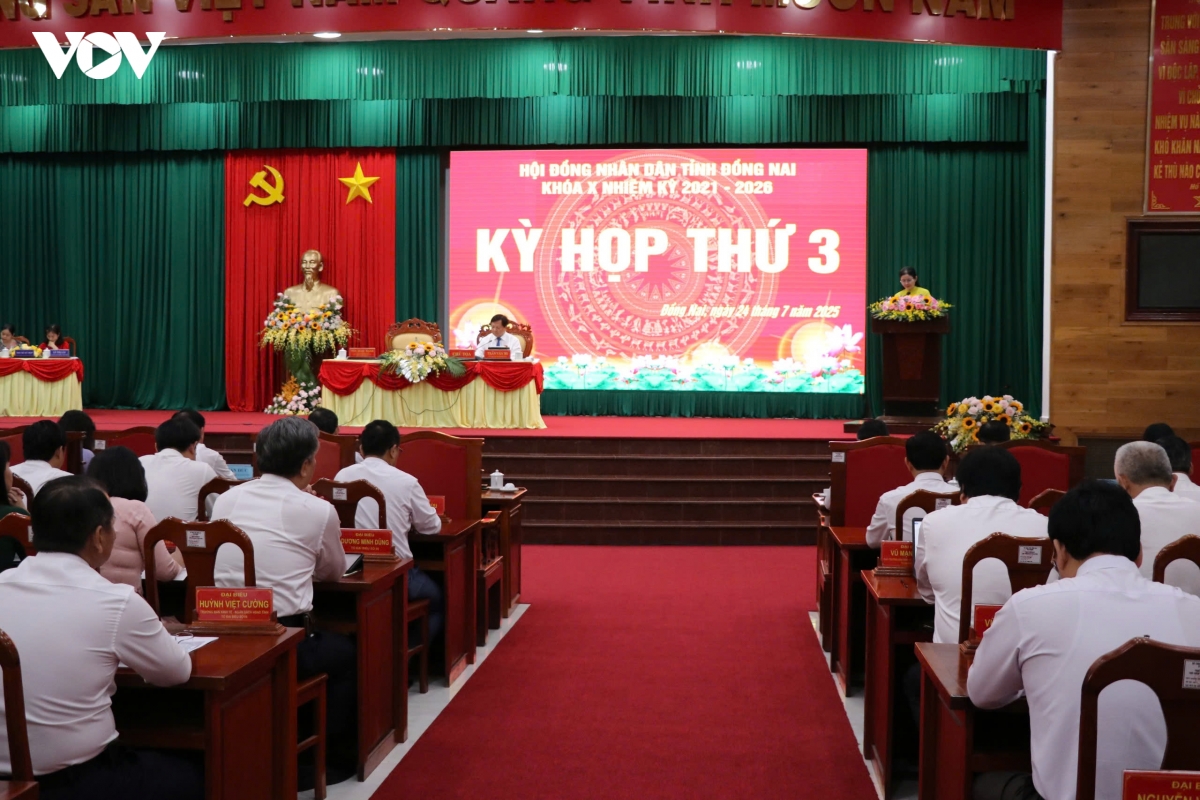kinh te Dong nai tang an tuong, xuat sieu 4,5 ty usd hinh anh 1