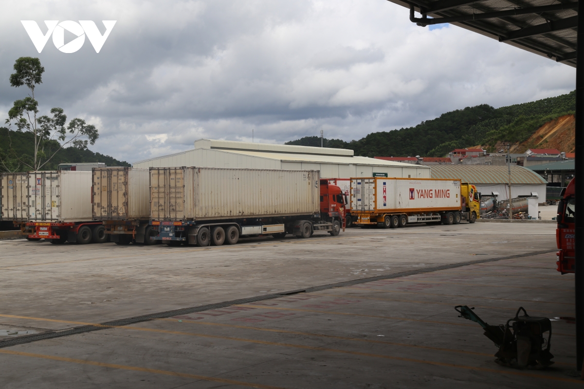 lạng sơn ngăn chặn gian lận thương mại từ kho ngoại quan, hàng quá cảnh hình ảnh 5 lang son ngan chan gian lan thuong mai tu kho ngoai quan, hang qua canh hinh anh 5
