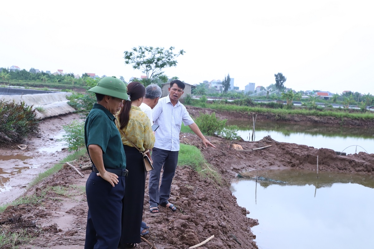 trang tay sau bao so 3, nguoi nuoi thuy san o ninh binh chua biet lam lai tu dau hinh anh 3