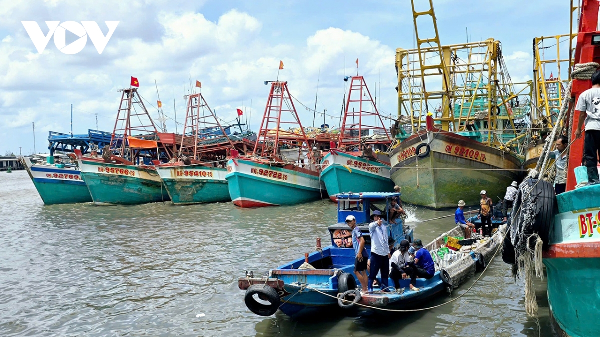 cà mau hướng dẫn ubnd cấp xã mới xử lý dứt điểm vi phạm khai thác iuu hình ảnh 1 ca mau huong dan ubnd cap xa moi xu ly dut diem vi pham khai thac iuu hinh anh 1