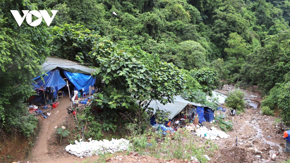 xuyen rung truy quet, bat giu gan 60 doi tuong vang tac o son la hinh anh 1