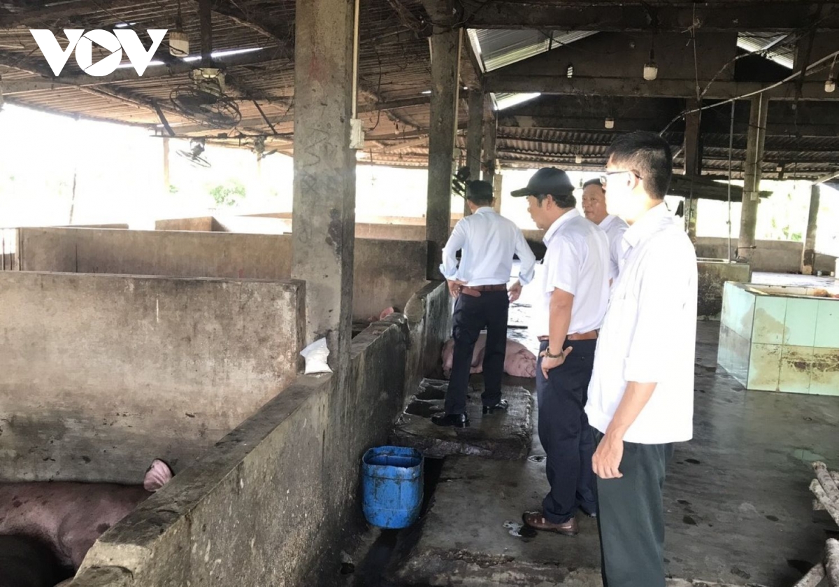 hue khan cap chong dich lien cau khuan lon hinh anh 5